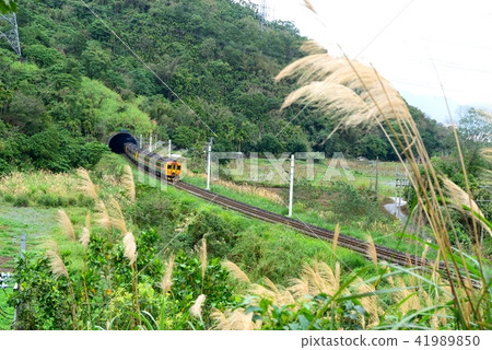 Transportation travel tourism Hualien sightseeing railway train Transportation travel tourism Hualien sightseeing railway train 41989850