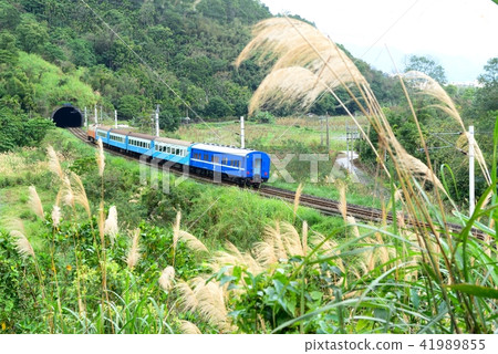交通運輸 旅行 旅遊 花蓮觀光 鐵路火車 交通運輸 旅行 旅遊 花蓮觀光 鐵路火車 41989855