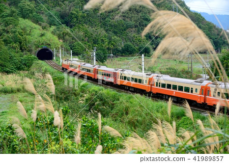 交通運輸 旅行 旅遊 花蓮觀光 鐵路火車 41989857