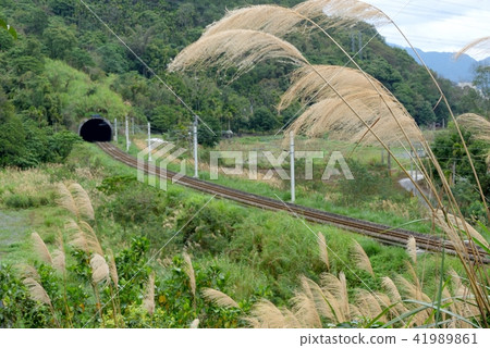 交通運輸 旅行 旅遊 花蓮觀光 鐵路火車 交通運輸 旅行 旅遊 花蓮觀光 鐵路火車 41989861