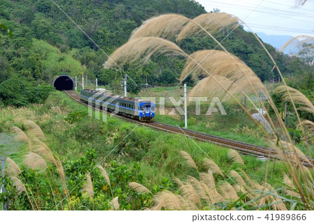 交通運輸 旅行 旅遊 花蓮觀光 鐵路火車 41989866