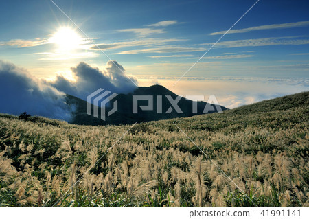 陽明山國家公園 秋天 芒花 天空 41991141