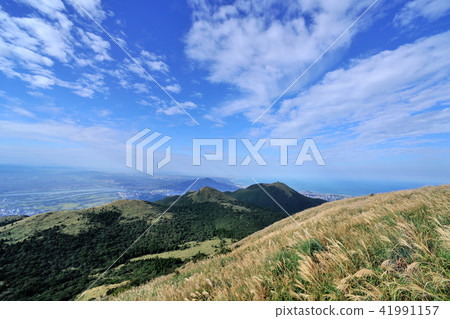 陽明山國家公園 秋天 芒花 天空 41991157