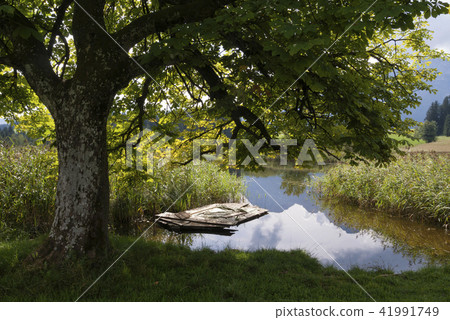 The Eglsee near Abtenau 41991749