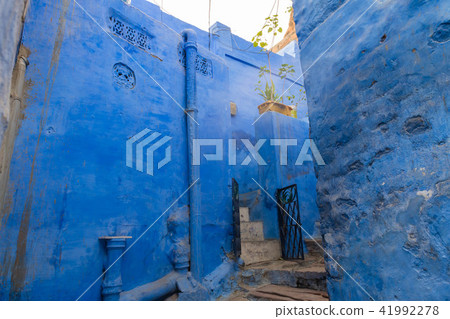 藍城(印度) 藍城(印度) 41992278