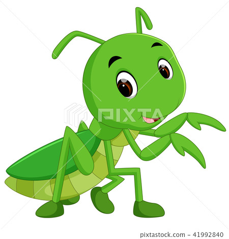 Praying mantis cartoon Praying mantis cartoon 41992840