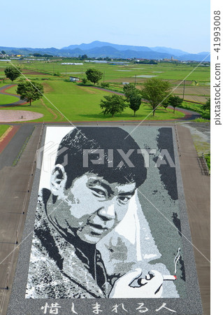 Rice field art Rice field art 41993008