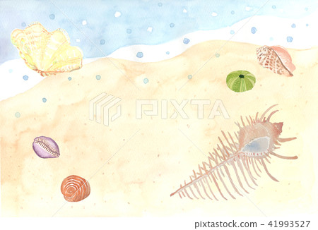 海灘 沙灘 夏天 41993527