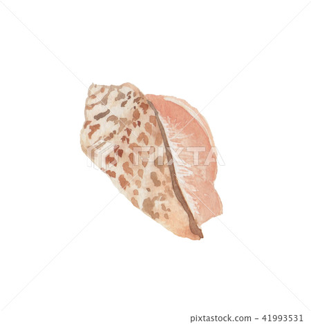 Immortal Immortal 41993531