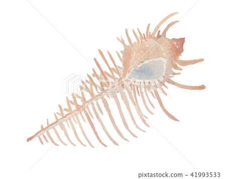 Honeymai Honeymai 41993533