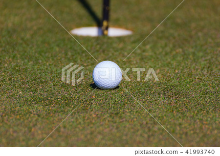 Golf Ball on Green Grass Golf Ball on Green Grass 41993740