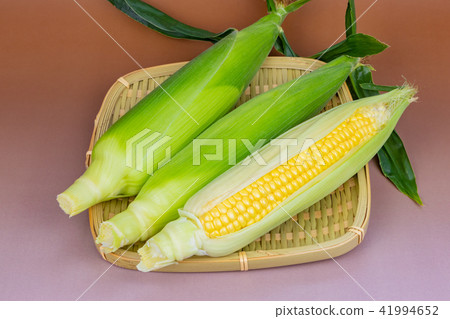 Corn Corn 41994652