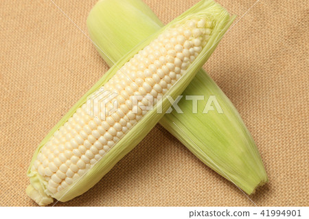 Pure White Pure White 41994901