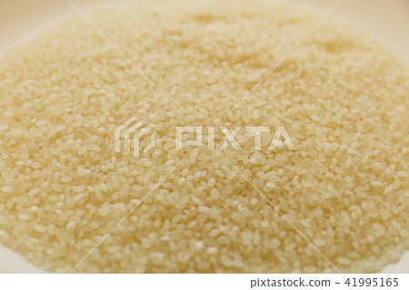 Image of rice picture Image of rice picture 41995165
