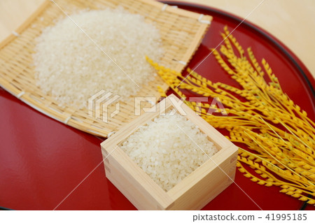 米圖片的圖像 米圖片的圖像 41995185