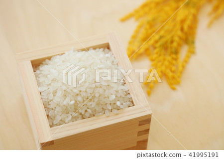 Image of rice picture 41995191