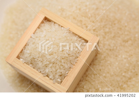 米圖片的圖像 米圖片的圖像 41995202