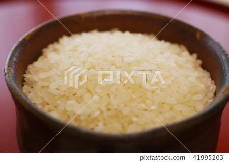 Image of rice picture Image of rice picture 41995203
