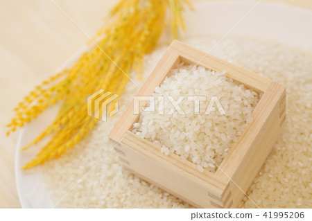Image of rice picture Image of rice picture 41995206