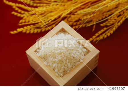 米圖片的圖像 米圖片的圖像 41995207