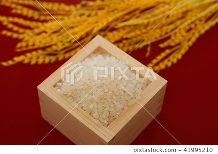 Image of rice picture 41995210