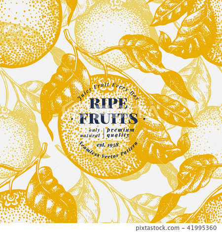 Orange tree seamless pattern. Hand drawn vector fruit illustration. Engraved style. Vintage citrus 41995360