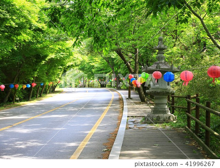 Hwa Myung-su 41996267