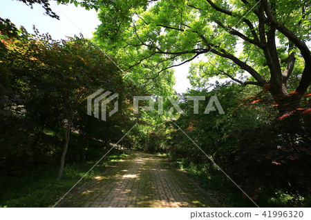 Hwa Myung-su 41996320