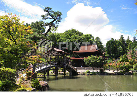 Yogeji Temple 41996705