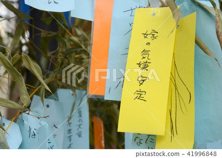 Tanabata strip 41996848