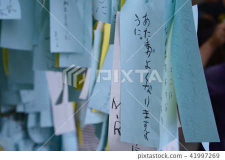 Tanabata strip Tanabata strip 41997269