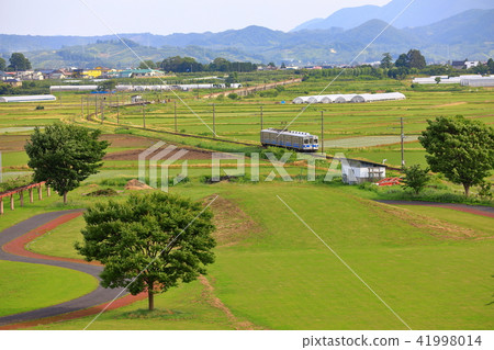 稻田藝術 41998014