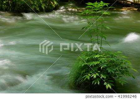 Oirase stream 41998246