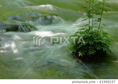 Oirase stream Oirase stream 41998247