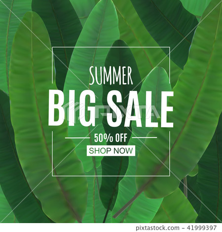 Abstract Summer Sale Background with Palm Leaves. Vector Illustration Abstract Summer Sale Background with Palm Leaves. Vector Illustration 41999397