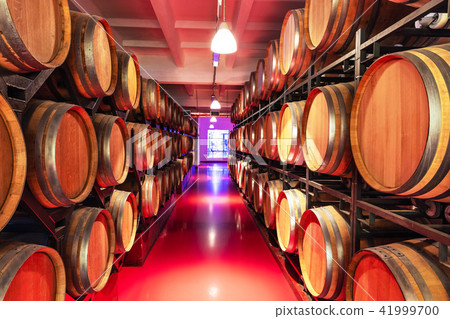 Old cellar with big wooden wine barrels 41999700
