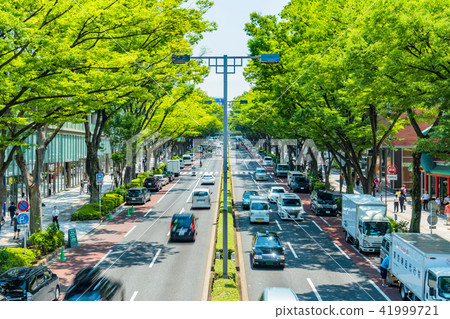 "Tokyo" Omotesando / Harajuku "Tokyo" Omotesando / Harajuku 41999721