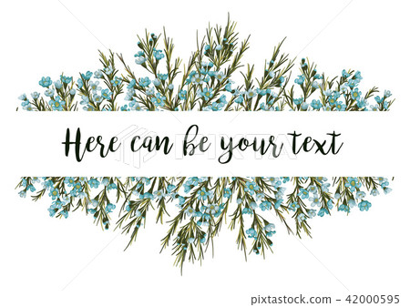 Horizontal botanical vector design banner Horizontal botanical vector design banner 42000595
