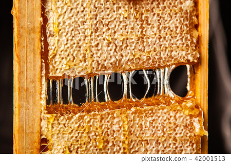 Honeycomb in a wooden frame 42001513