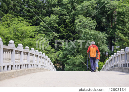 Senior Travel 42002184