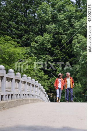 Senior Travel 42002188