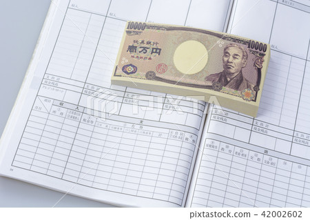 家庭賬簿現金 42002602