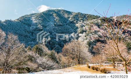 Winter scenery of the Tsukechi Gorge in Gifu and the snow-covered Kannon Falls. 42003029