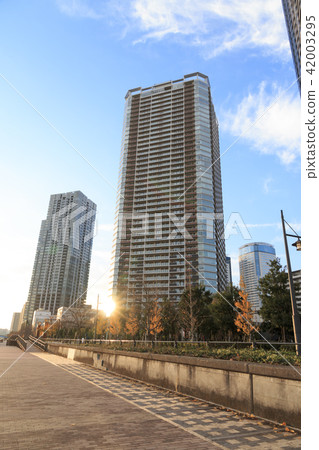 隅田川的隕落 42003295