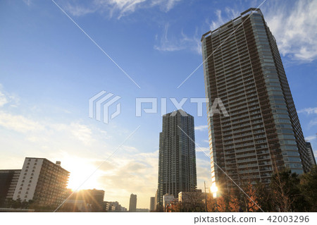 隅田川的隕落 42003296