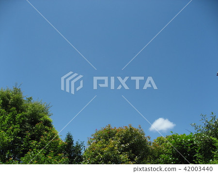 天空 天空 42003440