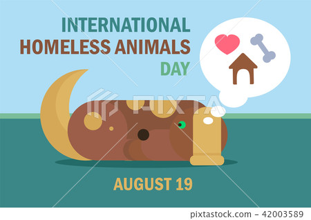 International Homeless Animals Day International Homeless Animals Day 42003589