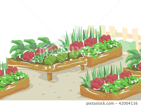 Edible Garden Illustration Edible Garden Illustration 42004116