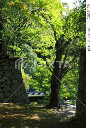 Matsuyama Castle Kurokamiguchi-no-Shiro Matsuyama Castle Kurokamiguchi-no-Shiro 42004499