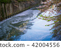 Meguro River flower Raft 3 42004556